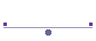 VRCC Fahne